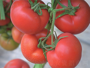 �_�D-���ѷN��-����