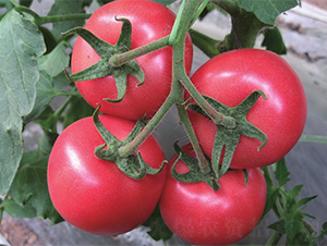 �~��(l��)��-���ѷN��-����