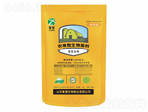 �r��΢�������-��������