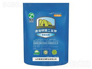 ̼������-��������