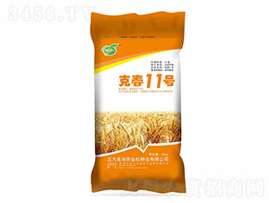 �˴�11̖-��ɼ�N�I(y��)