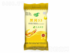 �ں�53-��ɼ�N�I(y��)