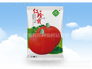 �t�䌚���S���̖(h��o)��-�Ƙ�(l��)�N�I(y��)