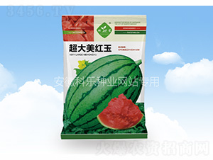 �������t��-�Ƙ��N�I(y��)