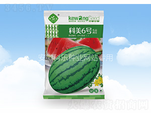 ����6̖(h��o)-�Ƙ��N�I(y��)