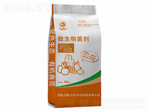 ΢�������-�w���ЙC��-�{ɫ����