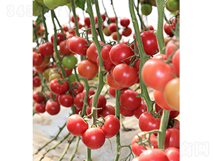 ���r(n��ng)�۹�0516-���ѷN��-���r(n��ng)�r(n��ng)�I(y��)