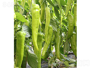 37-74-�����N��-���r(n��ng)�r(n��ng)�I(y��)