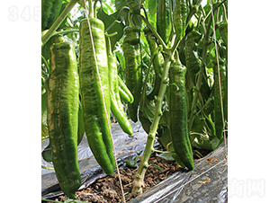 �G��Ş-�����N��-���r(n��ng)�r(n��ng)�I(y��)