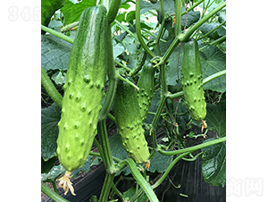 ���r(n��ng)�G��9̖-�S�ϷN��-���r(n��ng)�r(n��ng)�I(y��)