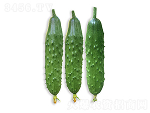 ���r(n��ng)�G��8̖-�S�ϷN��-���r(n��ng)�r(n��ng)�I(y��)