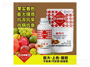 �r�t�ء���+�n���t-���ϲ-ԥ֮��