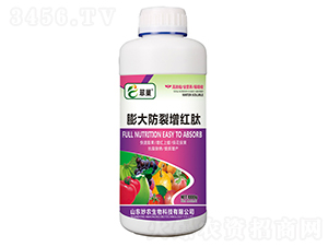 ���������t��-�䳲-���r(n��ng)����