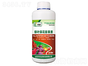 �G�~���������-�䳲-���r(n��ng)����