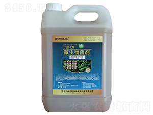 ΢�������-��2̖-���@�O������