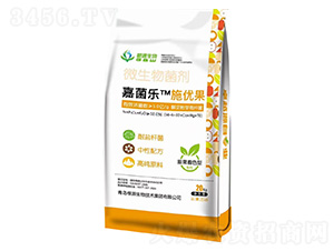 �����ɫ��΢�������-�ξ���ʩ��(y��u)��-��Դ����