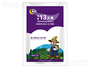 ���13Ԫ��-ħ������