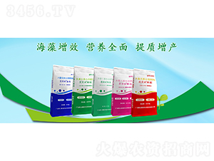 �`�`������Ԫ��ˮ�ܷ���-��������