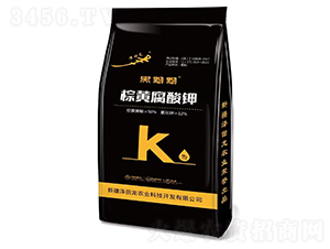 ���S�����-������-������