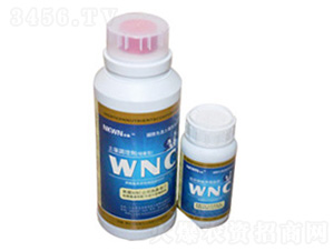 ֲ��I(y��ng)�B(y��ng)¶��ƿ��-�R���S�r(n��ng)�I(y��)