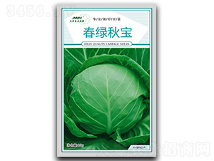 ���G�-���{(l��n)�N��-��ľï��