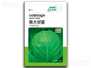 �ٴ���{(l��n)-���{(l��n)�N��-��ľï��