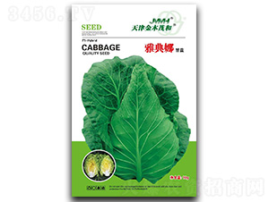 �ŵ���-���{(l��n)�N��-��ľï��