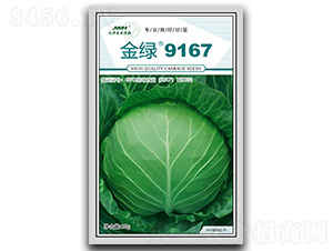 ��G9167-���{(l��n)�N��-��ľï��