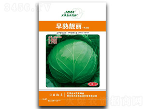 �����n��-���{(l��n)�N��-��ľï��