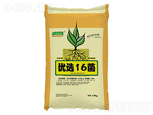 ΢�������-��(y��u)�x16��-����������