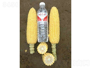 2019-531���׷N��-�r(n��ng)�ƷN��