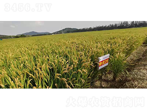 �ꃞ(y��u)26-ˮ���N��-�r�ƷN��