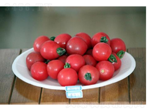 ����K704-���ѷN��-�r(n��ng)�ƷN��