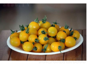 ����3321-���ѷN��-�r(n��ng)�ƷN��