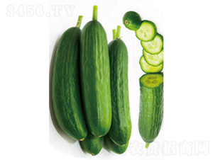 ����608-�S�ϷN��-�r(n��ng)�ƷN��