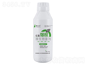 ΢�������-�|������-¡֮�S