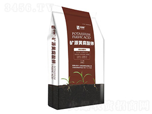 �VԴ�S�����-����ʘI(y��)