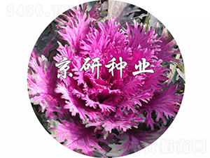 �����1̖(h��o)-���{(l��n)�N��-���зN�I(y��)