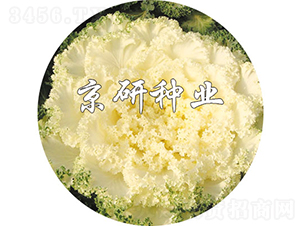 ���ڰ�1̖(h��o)-���{(l��n)�N��-���зN�I(y��)