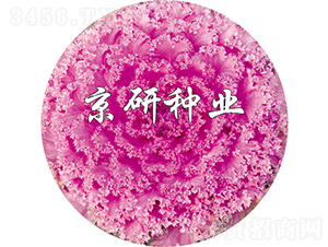 ���ڼt7̖(h��o)-���{(l��n)�N��-���зN�I(y��)