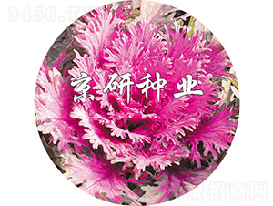 ����t2̖(h��o)-���{(l��n)�N��-���зN�I(y��)