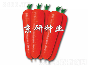 �tо90-���}���N��-���зN�I(y��)