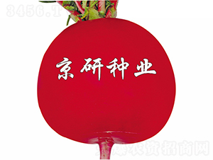 ���t6̖(h��o)-�}���N��-���зN�I(y��)