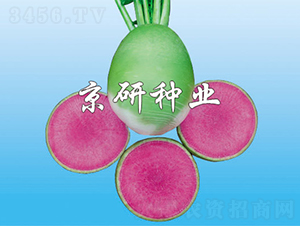 ����2̖(h��o)����������ͣ�-�}���N��-���зN�I(y��)