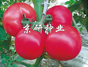 ����104-���ѷN��-���зN�I(y��)