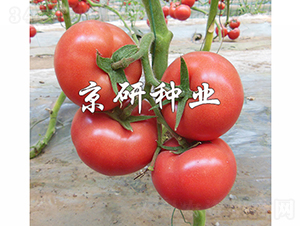 ����402-���ѷN��-���зN�I(y��)