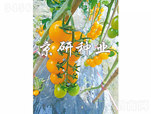 �����S��2̖(h��o)-���ѷN��-���зN�I(y��)