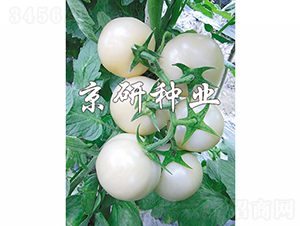 ����������-���ѷN��-���зN�I(y��)