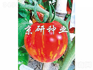 �����в�3̖(h��o)-���ѷN��-���зN�I(y��)