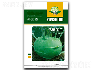 ��(y��u)ʢ���m-���{(l��n)�N��-��ʢ